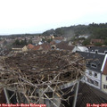 13_00-nest.jpg
