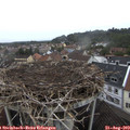 13_10-nest.jpg