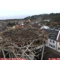 13_20-nest.jpg