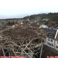 13_25-nest.jpg