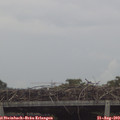 14_00-mast.jpg