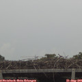 14_05-mast.jpg