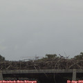 14_30-mast.jpg