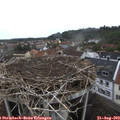 14_35-nest.jpg