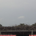14_40-mast.jpg