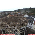 15_05-nest.jpg