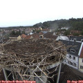 15_15-nest.jpg