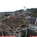 15_25-nest.jpg