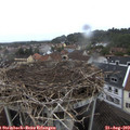 15_30-nest.jpg