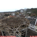 15_35-nest.jpg