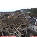 15_40-nest.jpg