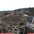 16_15-nest.jpg