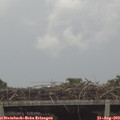 16_20-mast.jpg
