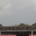 16_25-mast.jpg