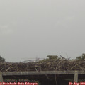 16_35-mast.jpg
