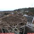 16_35-nest.jpg