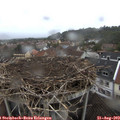 16_45-nest.jpg