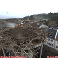 16_55-nest.jpg