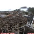 18_10-nest.jpg