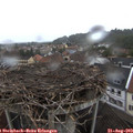 18_15-nest.jpg