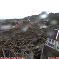 18_35-nest.jpg
