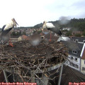 19_15-nest.jpg