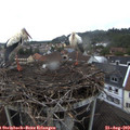 19_40-nest.jpg