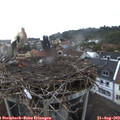 19_55-nest.jpg