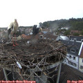 20_00-nest.jpg