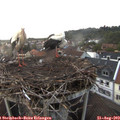 20_05-nest.jpg