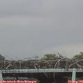 06_35-mast.jpg
