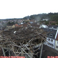 06_35-nest.jpg