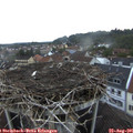 06_45-nest.jpg