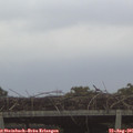 06_50-mast.jpg