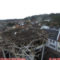 06_50-nest.jpg