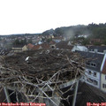 06_55-nest.jpg