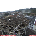 07_00-nest.jpg
