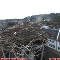07_05-nest.jpg