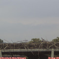 07_10-mast.jpg