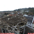 07_10-nest.jpg