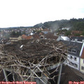 07_25-nest.jpg