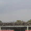 07_30-mast.jpg