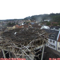 07_30-nest.jpg