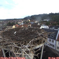 07_35-nest.jpg