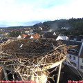 07_40-nest.jpg