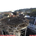 07_45-nest.jpg