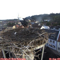 07_55-nest.jpg