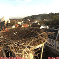 08_05-nest.jpg