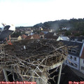 08_10-nest.jpg