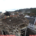08_20-nest.jpg
